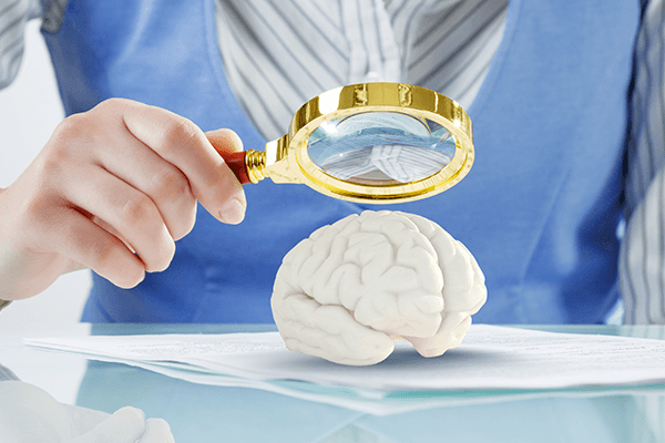 Looking at a brain model under a microscope