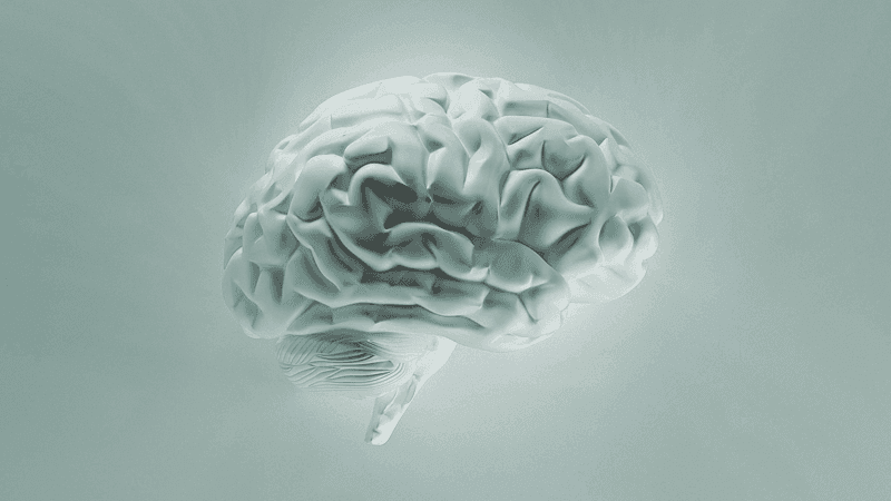 3D art of a brain