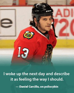 Daniel Carcillo on psilocybin - I woke up the next day and describe it as feeling the way I should.